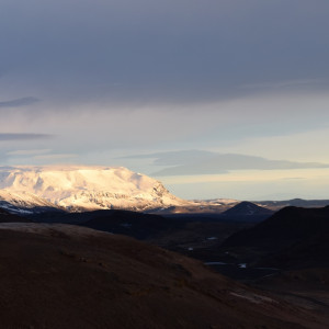 DSC_2624