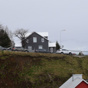 DSC_2649