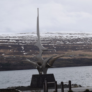 DSC_2660