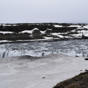 DSC_2739