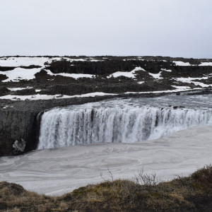 DSC_2746