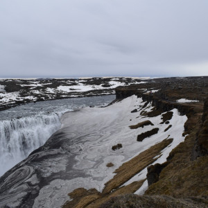 DSC_2768