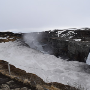 DSC_2785