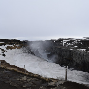 DSC_2789