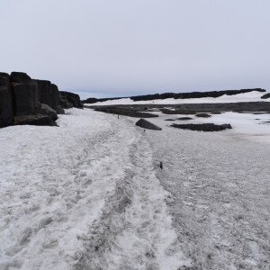 DSC_2832