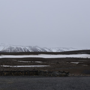 DSC_2859
