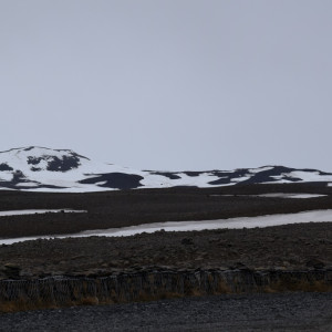 DSC_2861