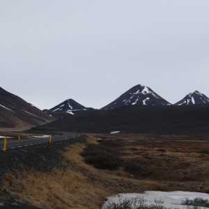 DSC_2866
