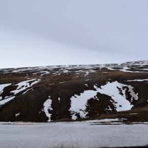 DSC_2879