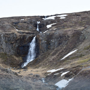 DSC_2890