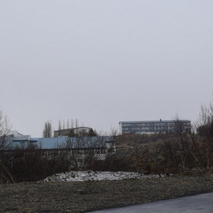 DSC_2934
