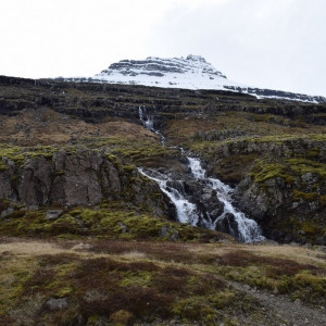 DSC_3019