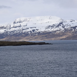 DSC_3050