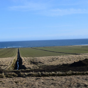 DSC_3206