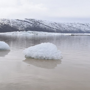 DSC_3332