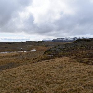 DSC_3366
