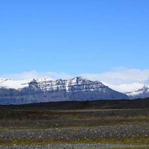 DSC_3526