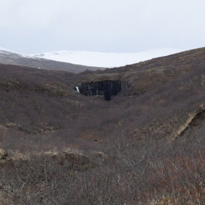 DSC_3707