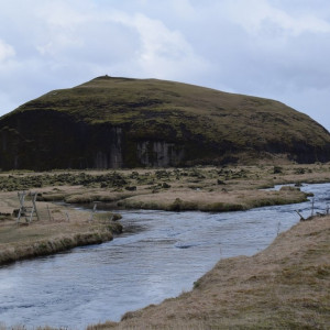 DSC_3890
