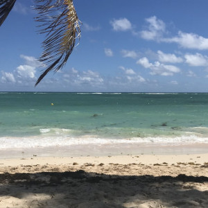 F287A325-994D-4A48-8B4E-6B3767DEFEE9