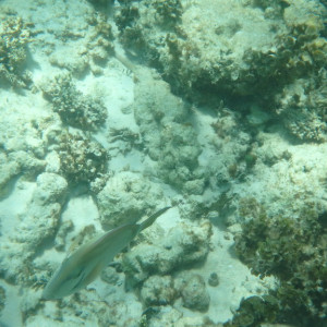 P9120261