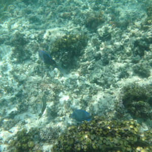 P9120292