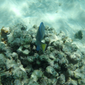 P9120299
