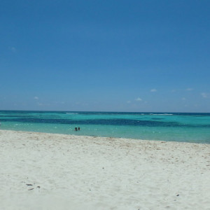 P9120306