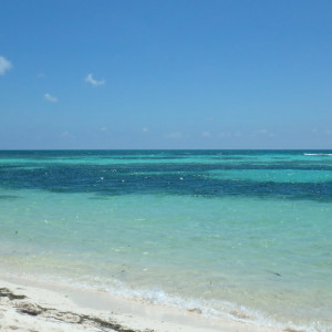 P9120371