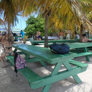 P9120393