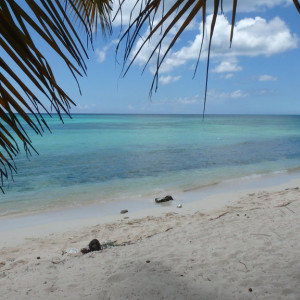 P9120394