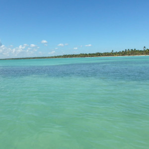 P9120478