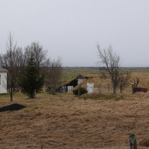 DSC_3950