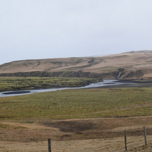 DSC_3961