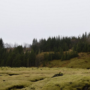 DSC_3986