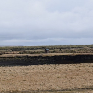 DSC_4000