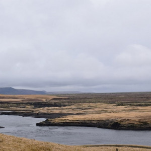 DSC_4001