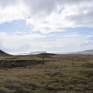 DSC_4044