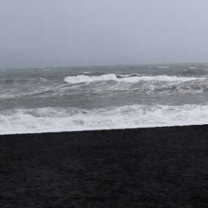 DSC_4086
