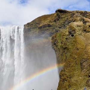 DSC_4161
