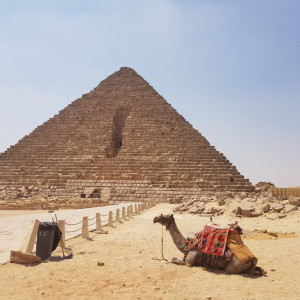 Egipto8