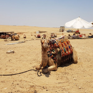Egipto13