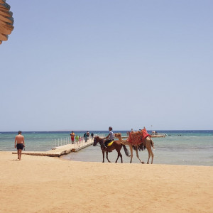 Egipto166