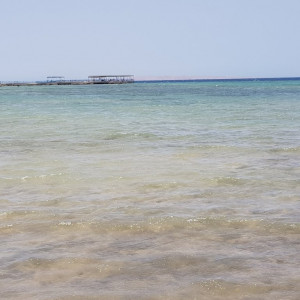 Egipto167