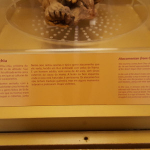 20180203_115021