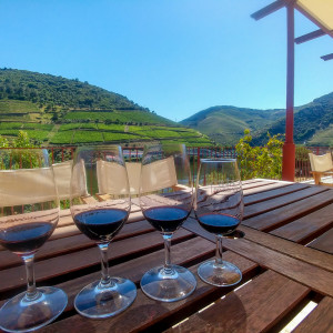 Douro_Junho_2017 (105)