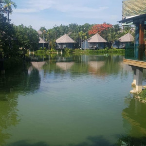 Received_173432750213294