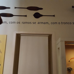 20180203_121721