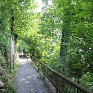 8 Vaduz
