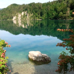 16 Alpsee